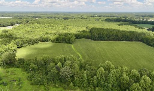 Photo #27 of Lot 3 Mobley Rd, Lucama, NC 15.8 acres