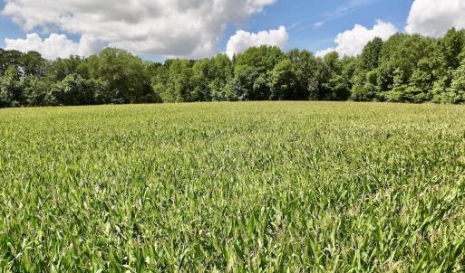 Photo #28 of Lot 3 Mobley Rd, Lucama, NC 15.8 acres