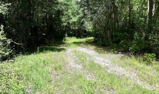 Photo #29 of Lot 3 Mobley Rd, Lucama, NC 15.8 acres