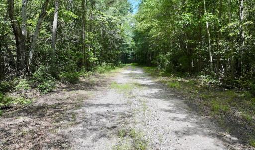 Photo #30 of Lot 3 Mobley Rd, Lucama, NC 15.8 acres