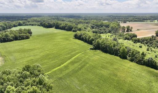 Photo #4 of Lot 3 Mobley Rd, Lucama, NC 15.8 acres