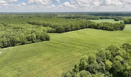 Photo #5 of Lot 3 Mobley Rd, Lucama, NC 15.8 acres