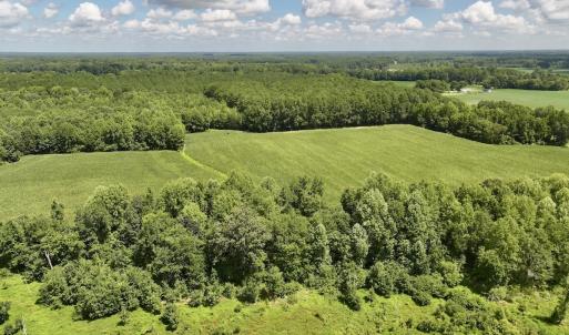 Photo #6 of Lot 3 Mobley Rd, Lucama, NC 15.8 acres