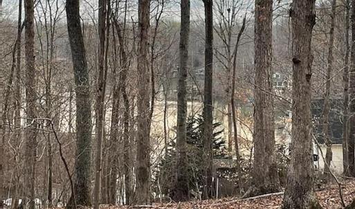 Photo #15 of Off of Charmwood Cir, Moneta, VA 0.7 acres