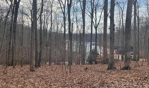 Photo #16 of Off of Charmwood Cir, Moneta, VA 0.7 acres