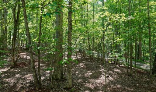 Photo #19 of Off of Charmwood Cir, Moneta, VA 0.7 acres