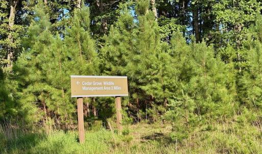 Photo #15 of 1031 Rock Church Road, Clarksville, VA 9.4 acres