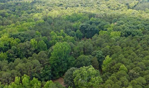 Photo #30 of 1031 Rock Church Road, Clarksville, VA 9.4 acres