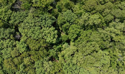 Photo #36 of 1031 Rock Church Road, Clarksville, VA 9.4 acres
