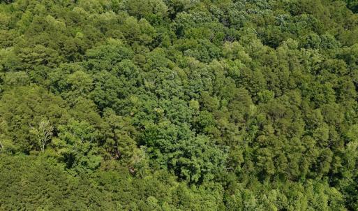 Photo #38 of 1031 Rock Church Road, Clarksville, VA 9.4 acres