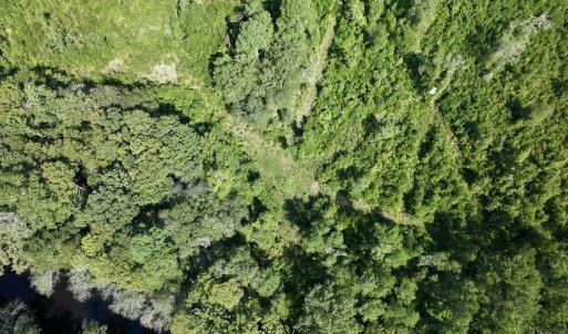 Photo #11 of Off of W Magnolia Lisbon Rd, Garland, NC 12.0 acres