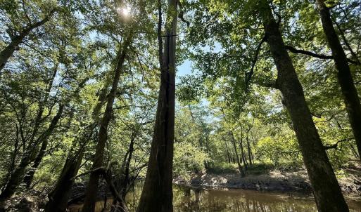 Photo #13 of Off of W Magnolia Lisbon Rd, Garland, NC 12.0 acres