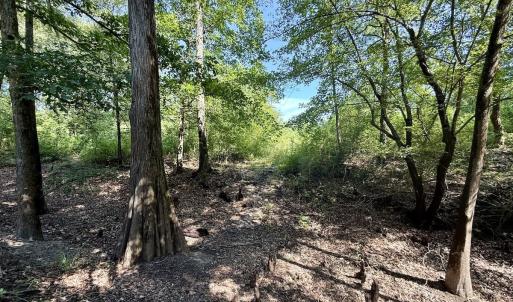 Photo #14 of Off of W Magnolia Lisbon Rd, Garland, NC 12.0 acres