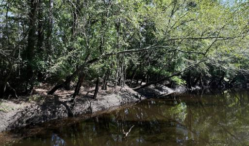 Photo #15 of Off of W Magnolia Lisbon Rd, Garland, NC 12.0 acres