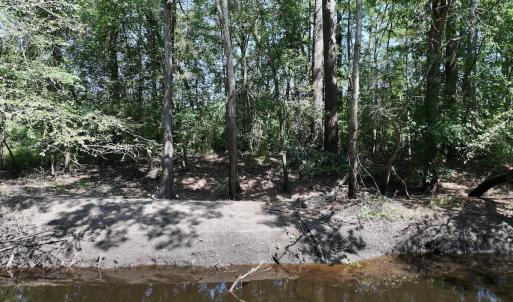 Photo #16 of Off of W Magnolia Lisbon Rd, Garland, NC 12.0 acres
