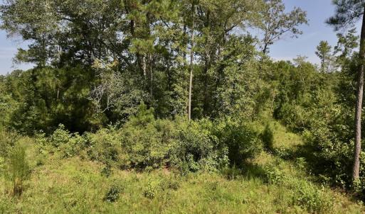 Photo #17 of Off of W Magnolia Lisbon Rd, Garland, NC 12.0 acres