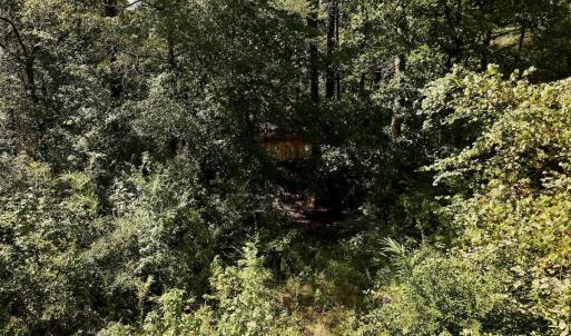 Photo #19 of Off of W Magnolia Lisbon Rd, Garland, NC 12.0 acres