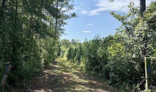 Photo #25 of Off of W Magnolia Lisbon Rd, Garland, NC 12.0 acres