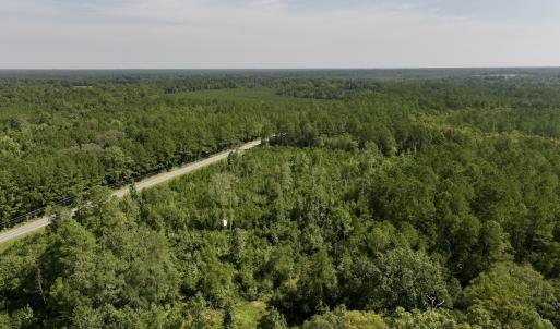 Photo #3 of Off of W Magnolia Lisbon Rd, Garland, NC 12.0 acres