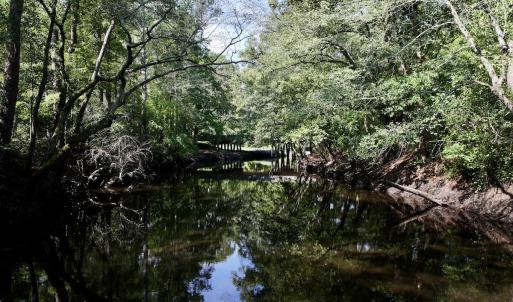 Photo #4 of Off of W Magnolia Lisbon Rd, Garland, NC 12.0 acres