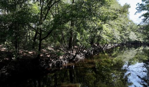 Photo #10 of Off of W Magnolia Lisbon Rd, Garland, NC 12.0 acres