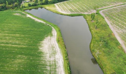 Photo #1 of Off of Beth Ln, Nichols, SC 45.5 acres
