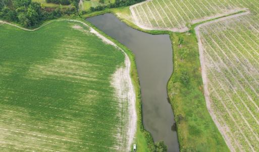 Photo #2 of Off of Beth Ln, Nichols, SC 45.5 acres