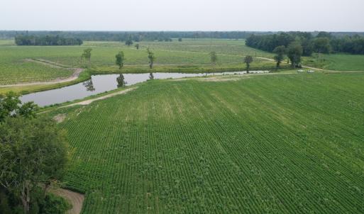 Photo #15 of Off of Beth Ln, Nichols, SC 45.5 acres