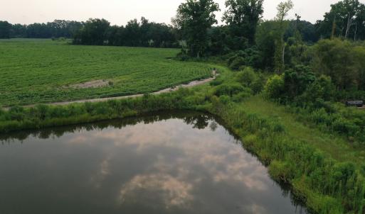 Photo #22 of Off of Beth Ln, Nichols, SC 45.5 acres