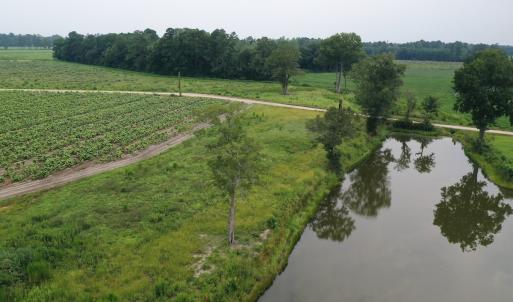 Photo #24 of Off of Beth Ln, Nichols, SC 45.5 acres