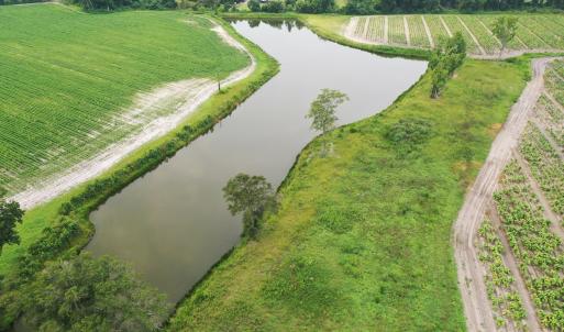 Photo #26 of Off of Beth Ln, Nichols, SC 45.5 acres
