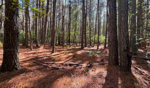 Photo #3 of Off of Cypress Chapel Rd Suffolk, Suffolk, VA 14.9 acres