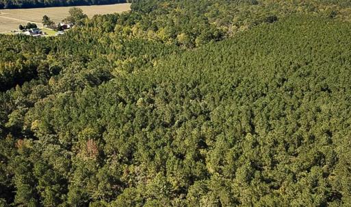 Photo #5 of Off of Cypress Chapel Rd Suffolk, Suffolk, VA 14.9 acres