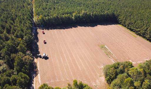 Photo #1 of Off of Cypress Chapel Rd, Whaleyville, VA 45.5 acres