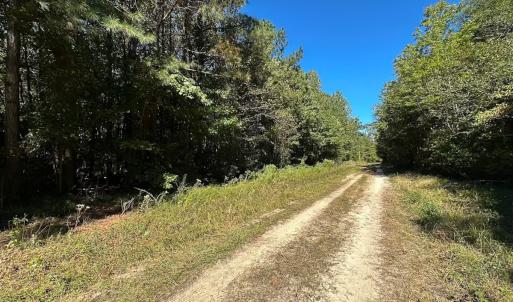 Photo #4 of Off of Cypress Chapel Rd, Whaleyville, VA 45.5 acres