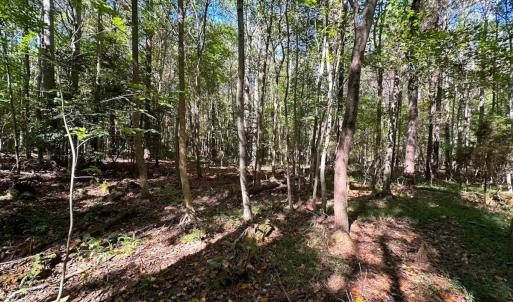 Photo #7 of Off of Cypress Chapel Rd, Whaleyville, VA 45.5 acres