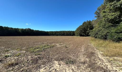 Photo #8 of Off of Cypress Chapel Rd, Whaleyville, VA 45.5 acres