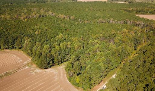Photo #12 of Off of Cypress Chapel Rd, Whaleyville, VA 45.5 acres