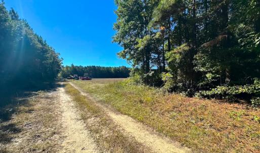 Photo #13 of Off of Cypress Chapel Rd, Whaleyville, VA 45.5 acres