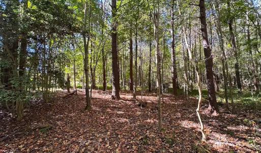 Photo #15 of Off of Cypress Chapel Rd, Whaleyville, VA 45.5 acres