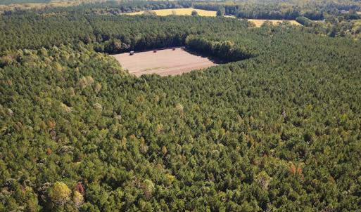 Photo #17 of Off of Cypress Chapel Rd, Whaleyville, VA 45.5 acres