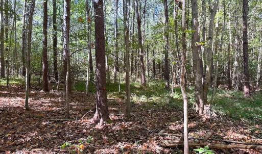 Photo #20 of Off of Cypress Chapel Rd, Whaleyville, VA 45.5 acres