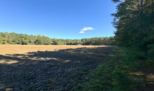 Photo #23 of Off of Cypress Chapel Rd, Whaleyville, VA 45.5 acres