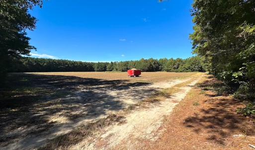 Photo #24 of Off of Cypress Chapel Rd, Whaleyville, VA 45.5 acres