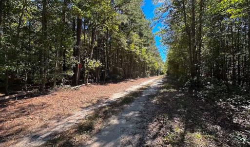 Photo #27 of Off of Cypress Chapel Rd, Whaleyville, VA 45.5 acres