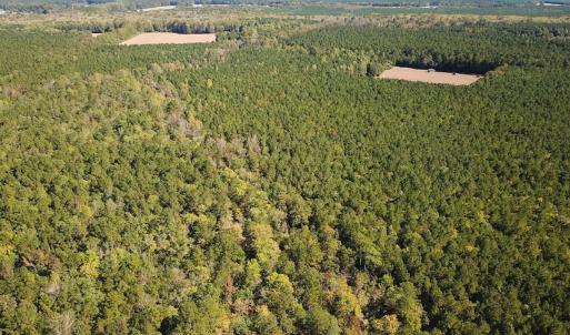 Photo #28 of Off of Cypress Chapel Rd, Whaleyville, VA 45.5 acres