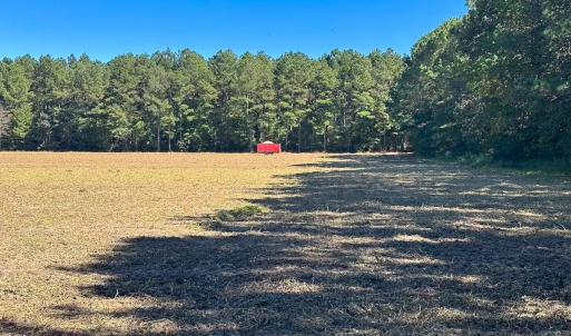 Photo #29 of Off of Cypress Chapel Rd, Whaleyville, VA 45.5 acres