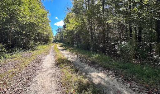 Photo #32 of Off of Cypress Chapel Rd, Whaleyville, VA 45.5 acres
