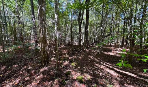 Photo #34 of Off of Cypress Chapel Rd, Whaleyville, VA 45.5 acres