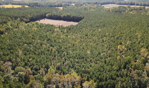 Photo #36 of Off of Cypress Chapel Rd, Whaleyville, VA 45.5 acres